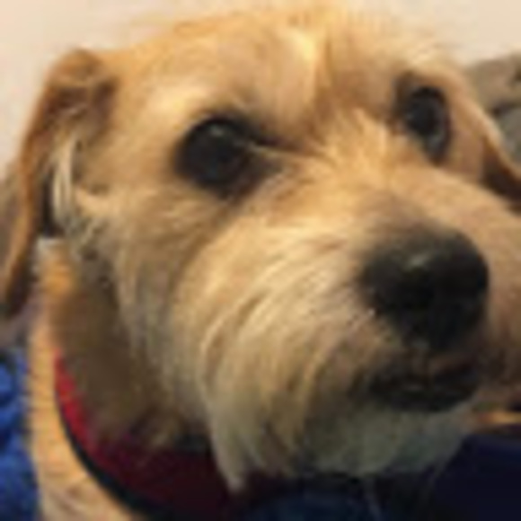 Meet your Posher, Alea - Picture 1 of 1